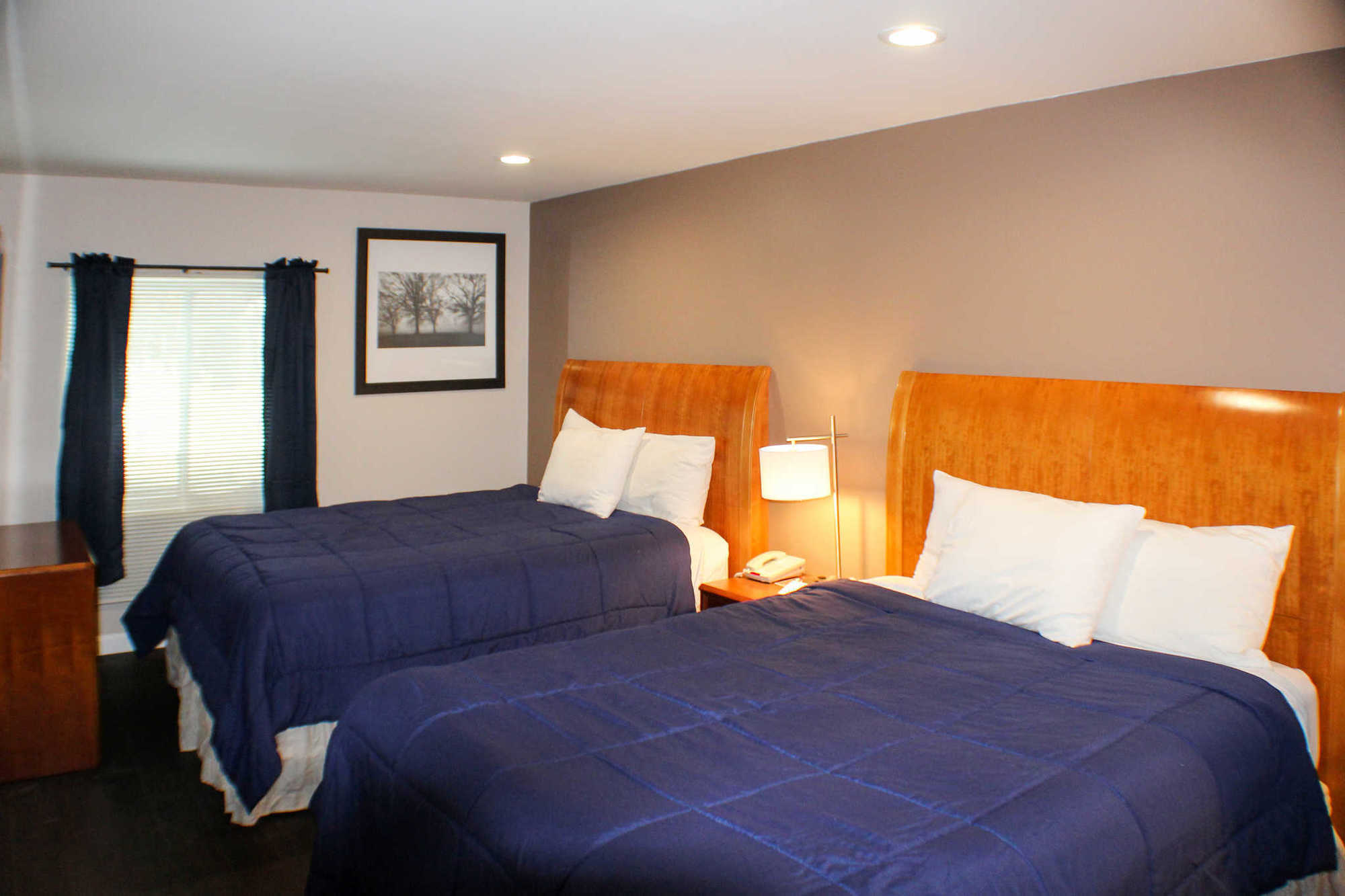 Quality Inn & Suites Линкольн Номер фото